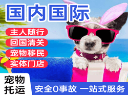 常州空运公司国际宠物托运 【国
